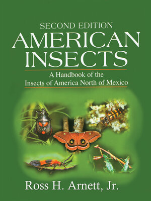 cover image of American Insects